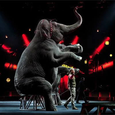 Animal Show