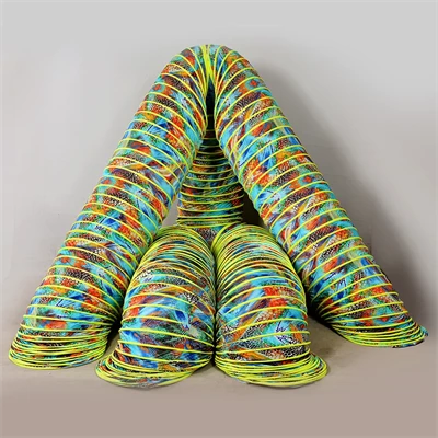 Slinky Show
