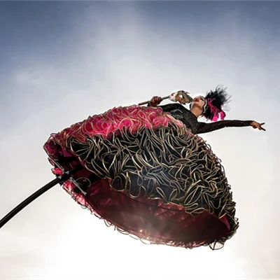 Sway Pole