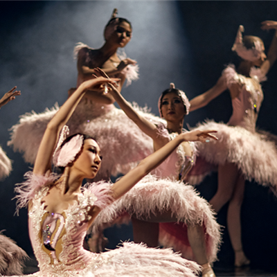 Ballet Dance Swans