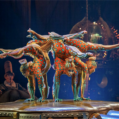Contortion Dance Group