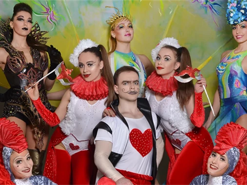 Fantastic Circus Show